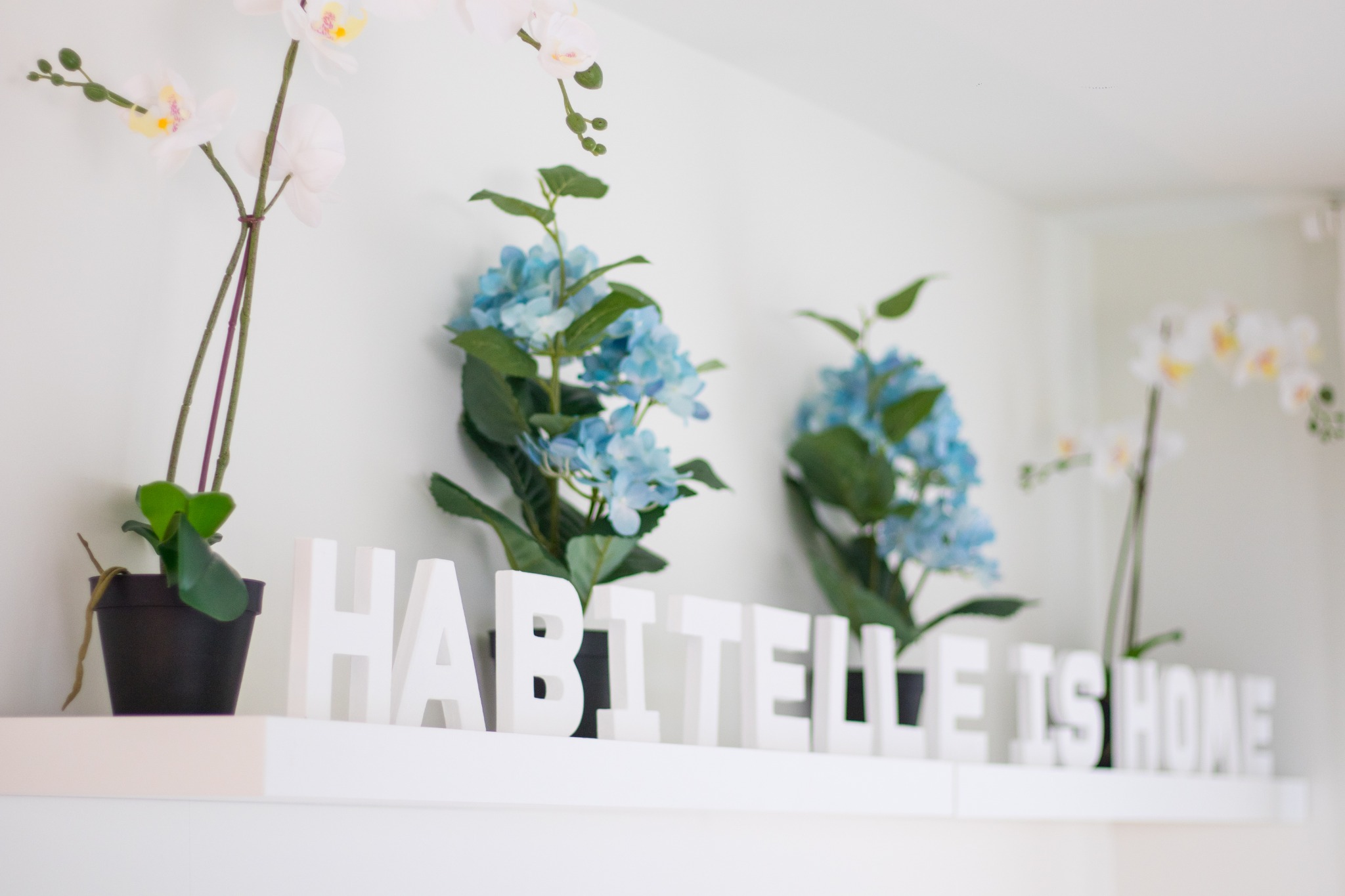 aleksandarcelar_com-26-min