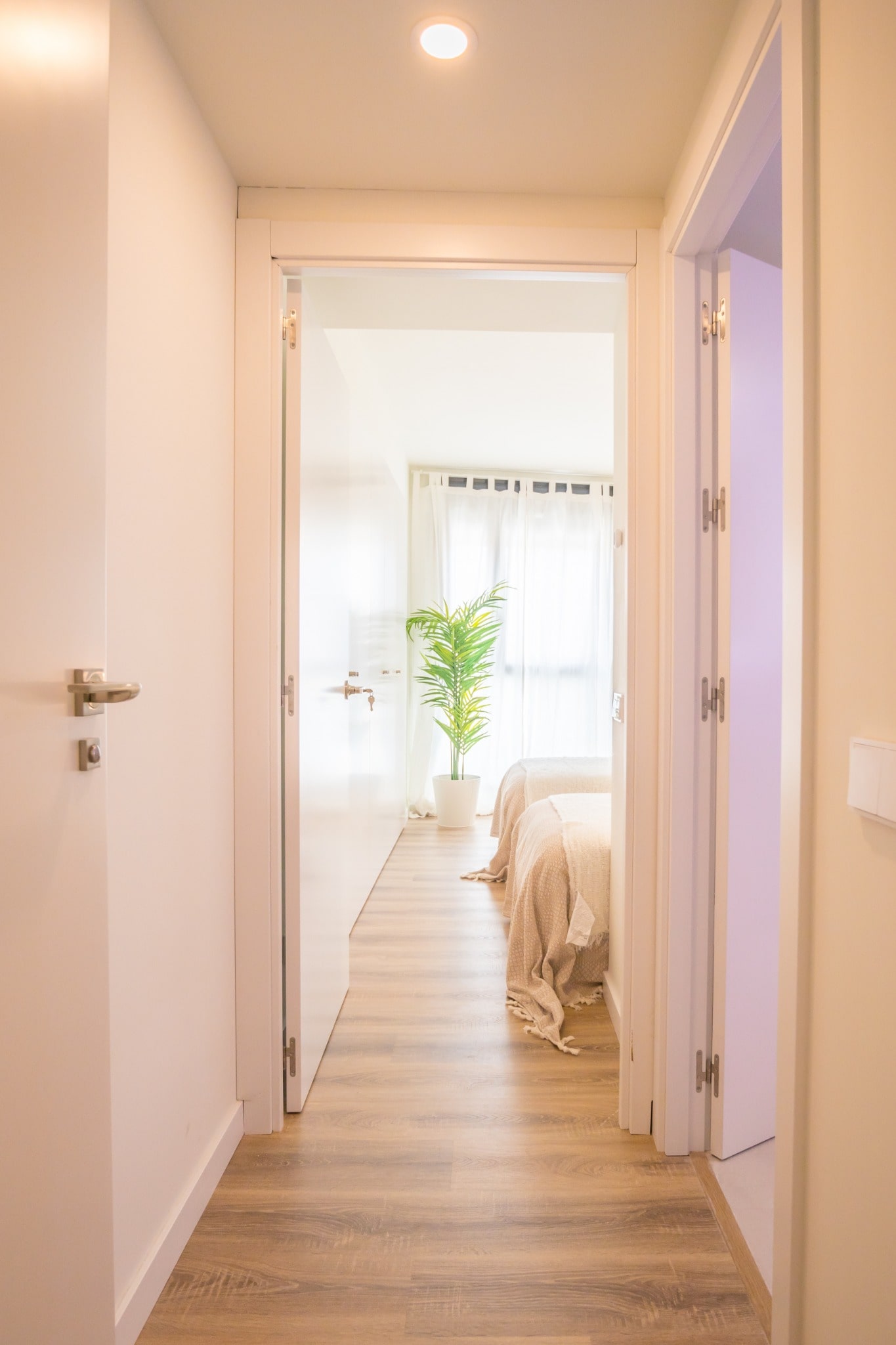 aleksandarcelar_com-73-min