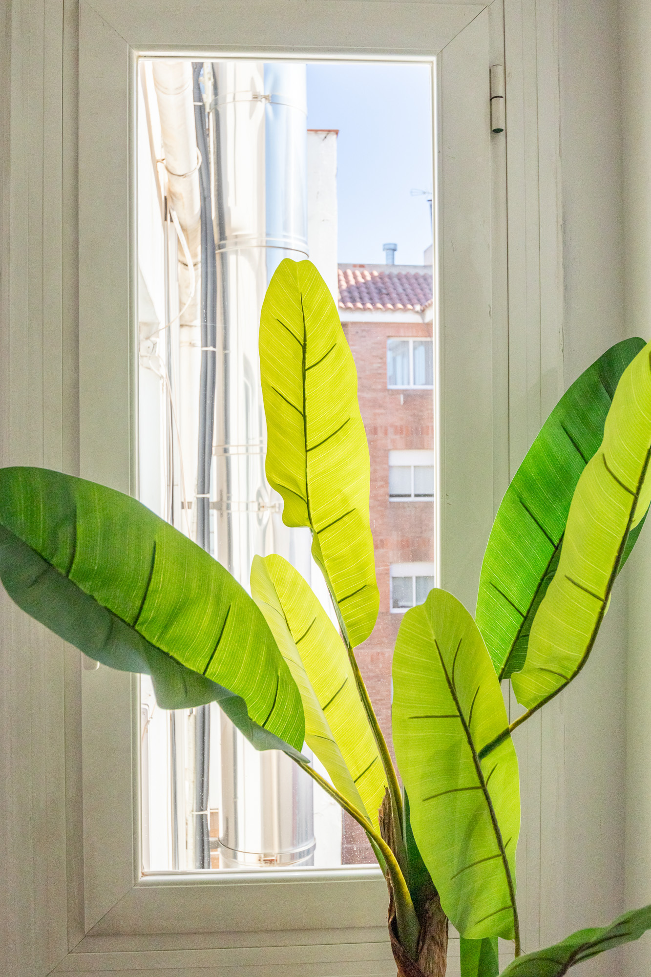 aleksandarcelar_com (150 of 18)